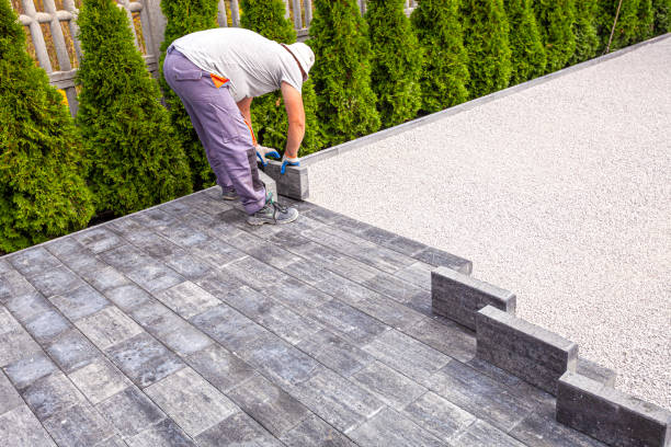 Best Driveway Paving Contractor  in Northville, MI